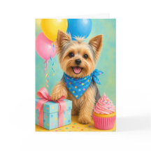 ヨーキーの誕生日 かわいいヨークシャーテリアの誕生日