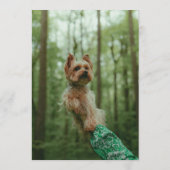 ヨーキーバー メニュー (裏面)