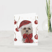 ヨーキ― カード (正面)