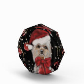 ヨーキ― フォトブロック (右)