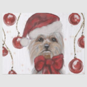 ヨーキ― 薄葉紙 (正面)