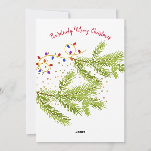 ヨークおもしろいシャー救テリア シーズンカード (裏面)