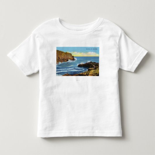 ヨークのビーチの禿げ頭の崖の眺め トドラーTシャツ (正面)