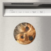 ヨークアイズマグネット マグネット (インサイチュ (食洗機))