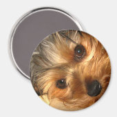 ヨークアイズマグネット マグネット (正面/裏面)