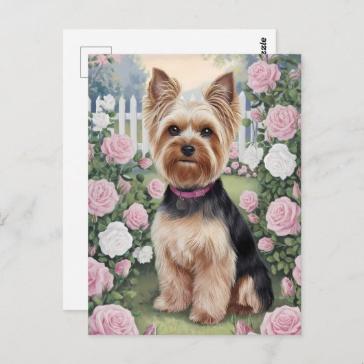 ヨークエレガントシャーテリアバラガーデンズ絵を描 ポストカード (正面/裏面)