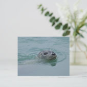 ヨークサルスラン氷河湖で泳ぐゼニガタアザラシ ポストカード (スタンド正面)