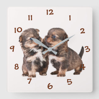 ヨークシャのかわいい子犬 スクエア壁時計