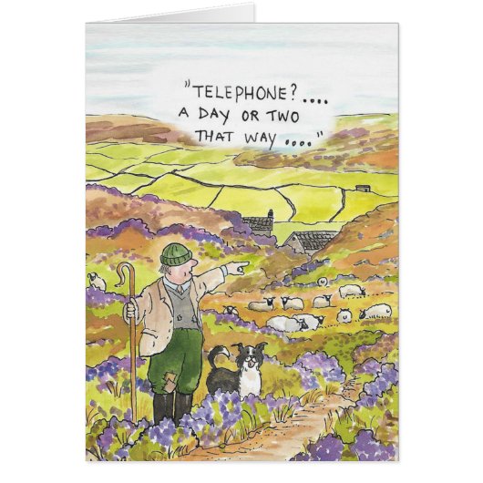 ヨークシャのヒツジの農家カード (正面)