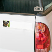 ヨークシャテリアのバンパーステッカー バンパーステッカー (トラック上)