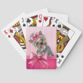 ヨークシャテリアのピンクのプリンセスのヨークシャーテリアの小犬 トランプ (裏面)