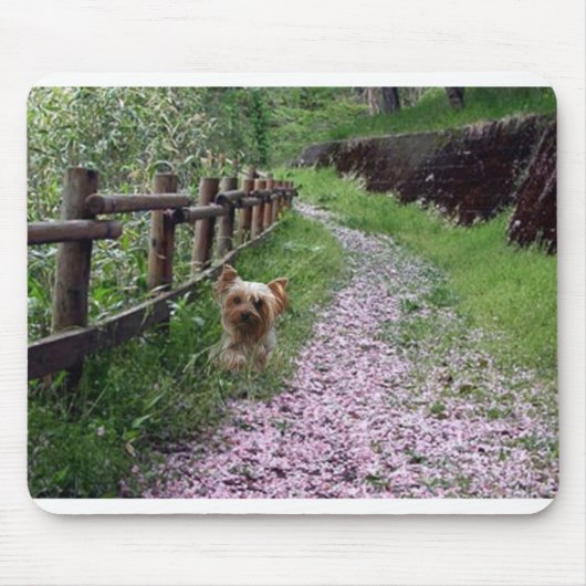 ヨークシャテリアのマウスパッドの庭 マウスパッド (正面)