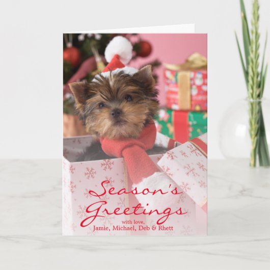 ヨークシャテリアの子犬およびクリスマス2 シーズンカード (正面)