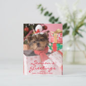 ヨークシャテリアの子犬およびクリスマス2 シーズンポストカード (スタンド正面)