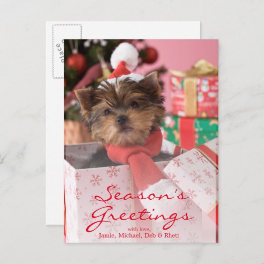 ヨークシャテリアの子犬およびクリスマス2 シーズンポストカード (正面/裏面)