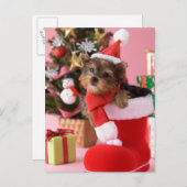 ヨークシャテリアの子犬およびクリスマス シーズンポストカード (正面/裏面)