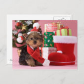 ヨークシャテリアの子犬およびクリスマス シーズンポストカード (正面/裏面)