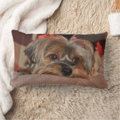 ヨークシャテリアの子犬のLumbarの枕 ランバークッション (ブランケット)