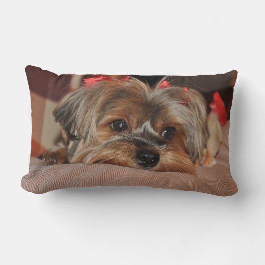 ヨークシャテリアの子犬のLumbarの枕 ランバークッション (正面)