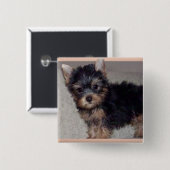 ヨークシャテリアの子犬ボタン 缶バッジ (正面&裏面)