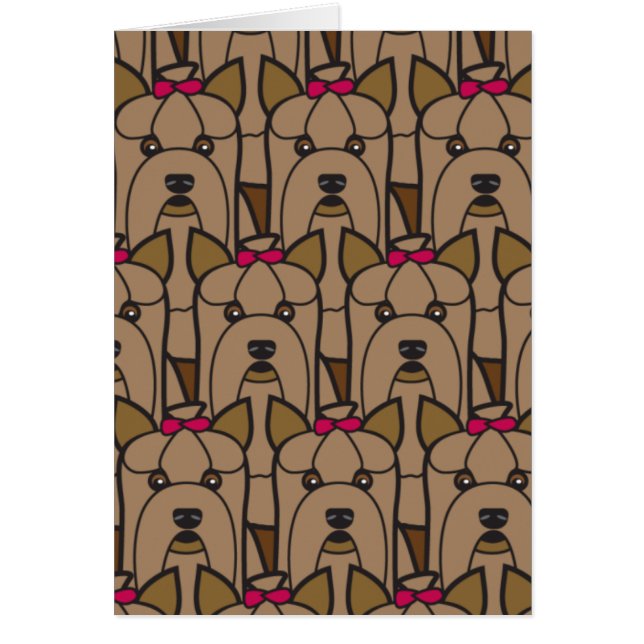 ヨークシャテリア (正面)