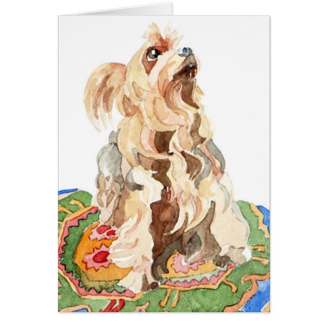 ヨークシャテリア2012年 (正面)