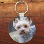 ヨークシャテリア, 犬, ペット キーホルダー (正面)