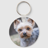 ヨークシャテリア, 犬, ペット キーホルダー (裏面)
