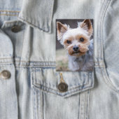 ヨークシャテリア, 犬, ペット 缶バッジ (インサイチュ)