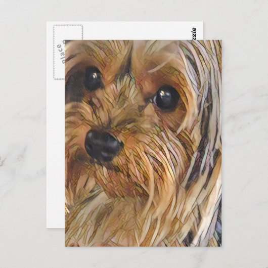 ヨークシャーのテリア葉書を閉じる ポストカード (正面/裏面)