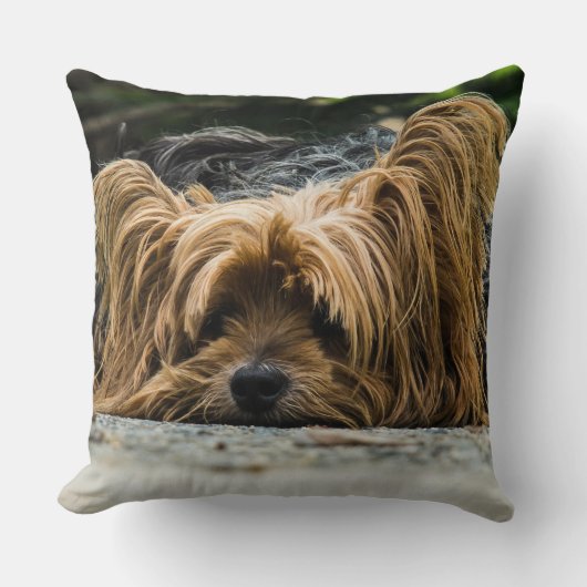 ヨークシャークローズアップ クッション (正面)