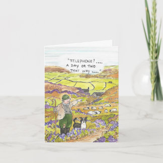 ヨークシャーシープ農家 カード