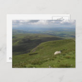 ヨークシャーダレスコレクションの日 ポストカード (正面/裏面)