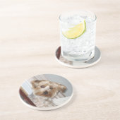 ヨークシャーテリアののまわりに角の覗き コースター (側面)