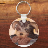 ヨークシャーテリアのカップ キーホルダー (正面)