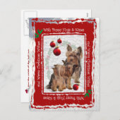 ヨークシャーテリアのクリスマスの子犬は郵便はがきを抱き締め、接吻します シーズンポストカード (正面/裏面)