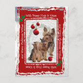ヨークシャーテリアのクリスマスの子犬は郵便はがきを抱き締め、接吻します シーズンポストカード (正面)
