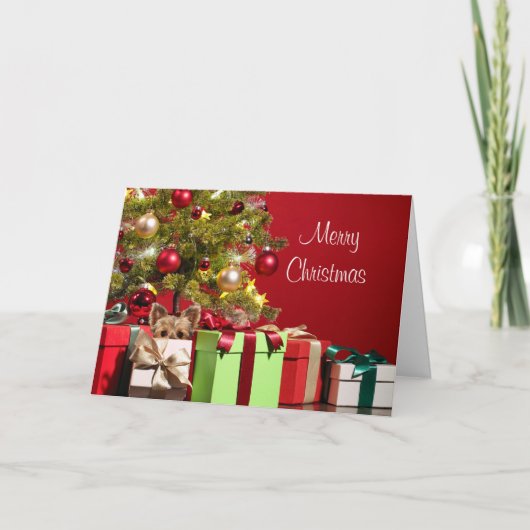 ヨークシャーテリアのクリスマス シーズンカード (正面)