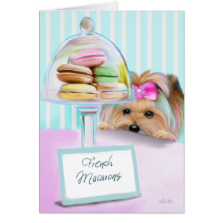 ヨークシャーテリアのフランス人のマカロン