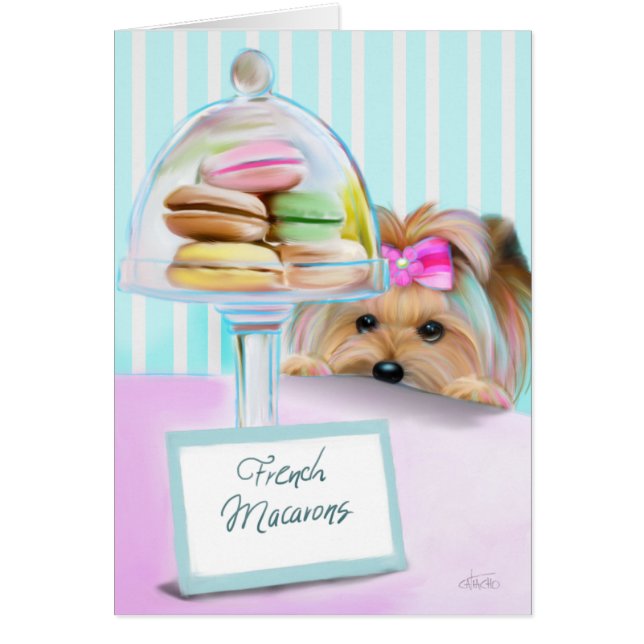 ヨークシャーテリアのフランス人のマカロン (正面)