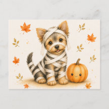 ヨークシャーテリアのミイラ・ハロウィン
