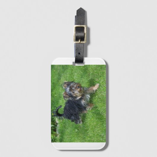 ヨークシャーテリアの動き ラゲッジタグ (正面縦)