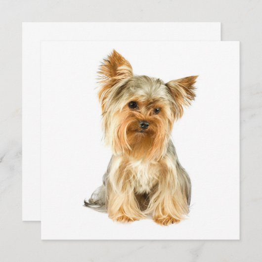 ヨークシャーテリアの子犬の招待状 招待状 (正面/裏面)