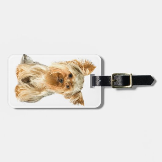 ヨークシャーテリアの子犬の荷物のラベル ラゲッジタグ (正面横)