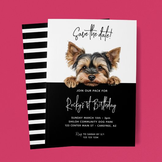 ヨークシャーテリアの子犬の1歳の誕生日Save the Date セーブザデート