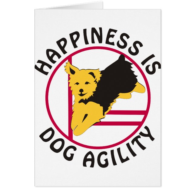 ヨークシャーテリアの敏捷の幸福 (正面)