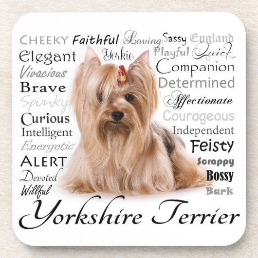 ヨークシャーテリアの特性のコースター コースター (正面)