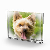 ヨークシャーテリアの犬。 フォトブロック (右)