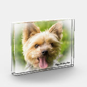 ヨークシャーテリアの犬。 フォトブロック (左)