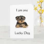 「ヨークシャーテリアは幸運な犬だ」誕生日 カード (黄色い花)